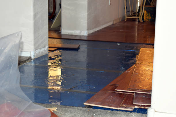 Professional Burst Pipe Cleanup technician working in Harrisville, WV